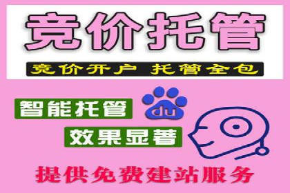搜索引擎推广的佼佼者——百度搜索推广案例